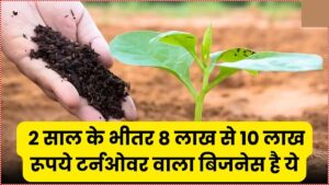 Business Idea: 2 साल के भीतर 8 लाख से 10 लाख रूपये टर्नओवर वाला बिजनेस है ये